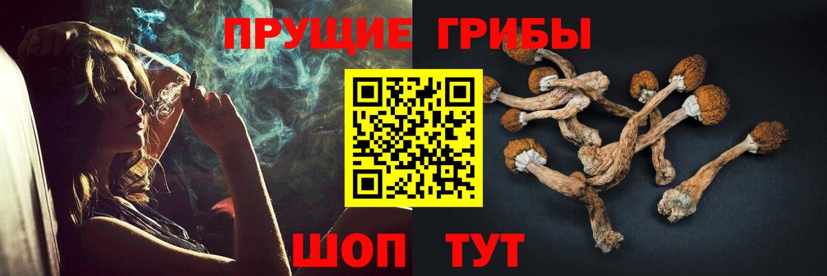 Псилоцибиновые грибы мухоморы Назрань