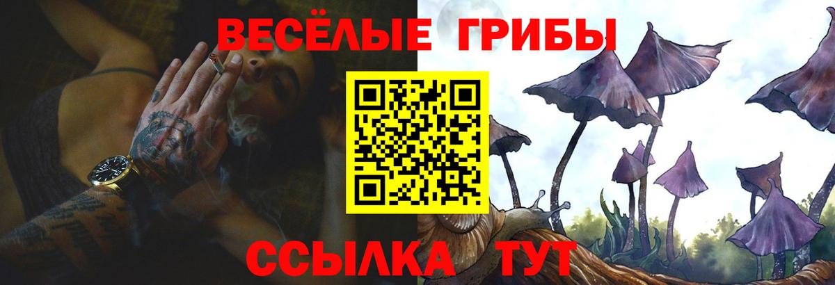 Галлюциногенные грибы Magic Shrooms  Псилоцибиновые грибы Cubensis  Назрань  Вход с VPN 